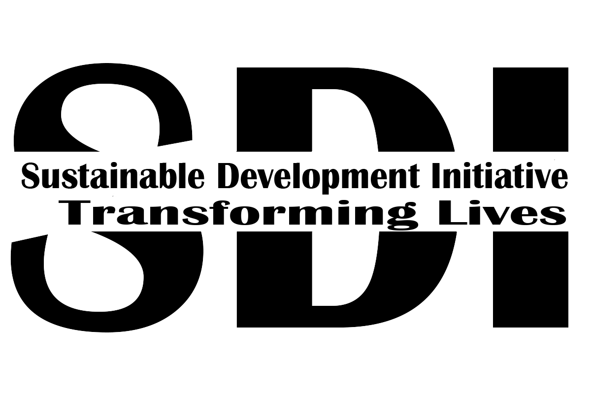 SDI logo
